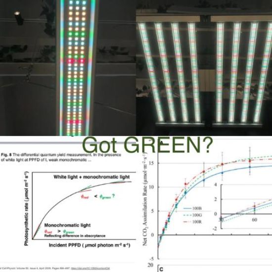 Picture of Mammoth LED Light 680W 6Bar With Emerald Green
