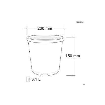 Picture of 3.1L 200MM Style Squat Pot P200SQKOO