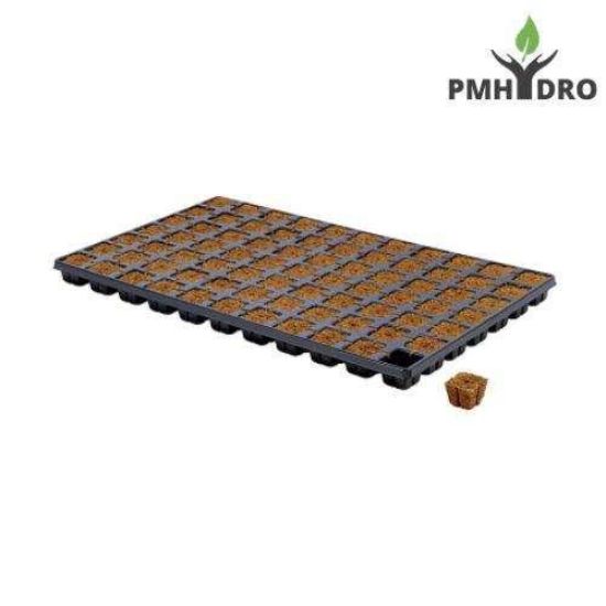 Picture of Eazy Plug Propagation Tray 77 Cube | Seedling Tray