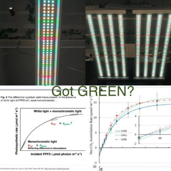 Picture of Mammoth LED Light 860W 8Bar With Emerald Green