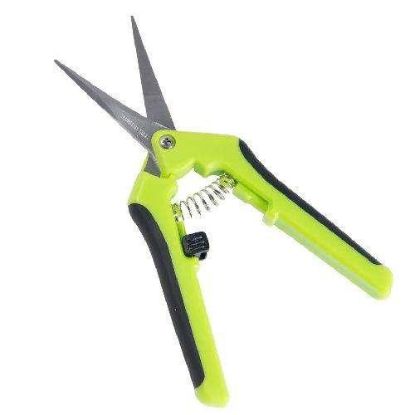 Picture of Thrive Precision Curved Blade Pruner