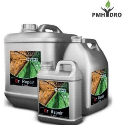 Picture of Cyco Platinum Series Dr. Repair 5L
