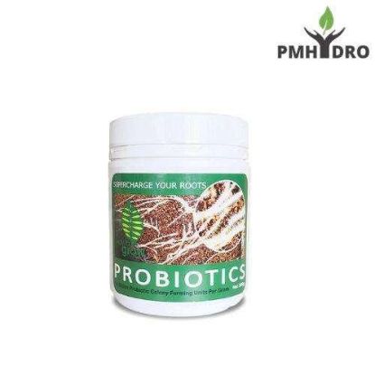 Picture of W2G Probiotics 300G | Supercharge Your Roots