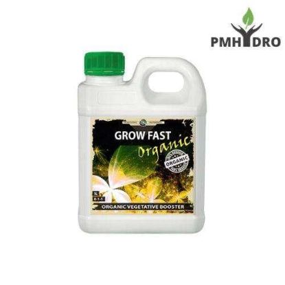 Picture of Professors Grow Fast Organic Additive 1L