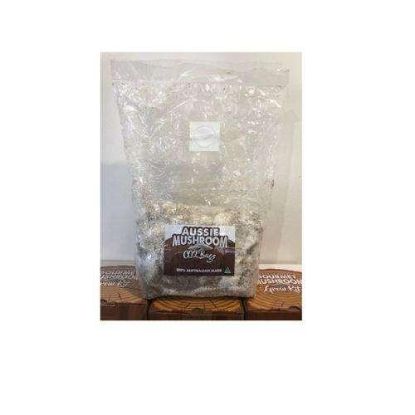 Picture of Aussie Mushroom CO2 XL Breathe Bag For Grow Tent | Hydroponic