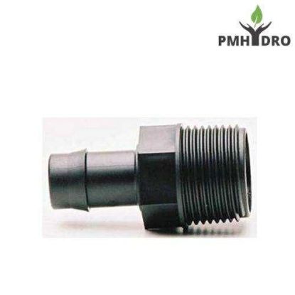 Picture of Director 19MM TAIL X 3/4' BSP