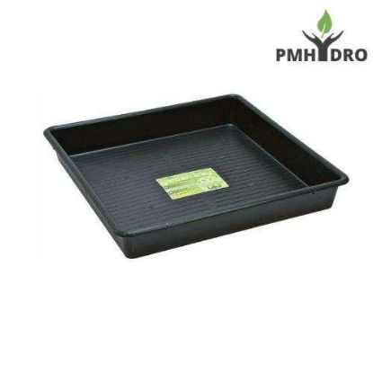 Picture of Garland Tray 80CM X 80CM X 12CM