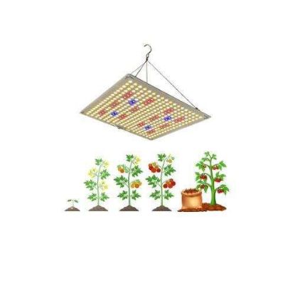 Picture of Ozistar LED 100W | Full Spectrum LED Grow Light