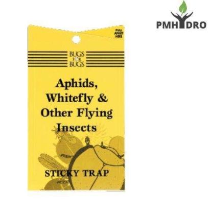 Picture of Bugs for Bugs Sticky Trap Yellow for Flying Insects