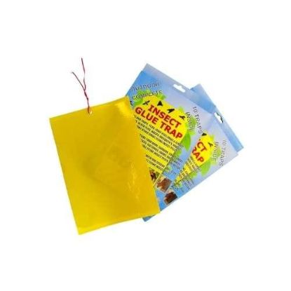 Picture of Insect Glue Traps - 10 pack