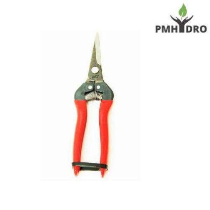 Picture of ARS Fruits Pruner and Trimmer | Comfortable Hand Grips