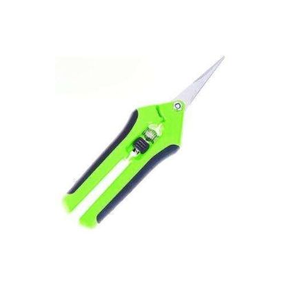 Picture of Trimming Scissors | Precision Pruner