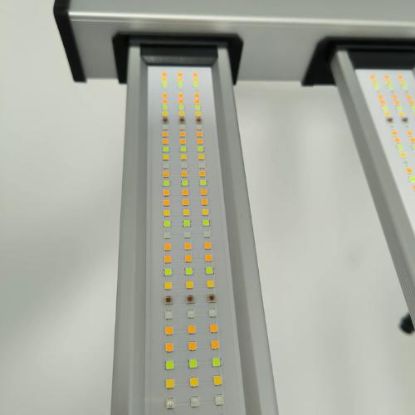 Picture of Mammoth LED Light 860W 8Bar With Emerald Green