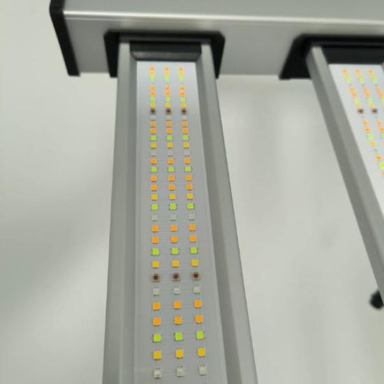 Picture of Mammoth LED Light 860W 8Bar With Emerald Green