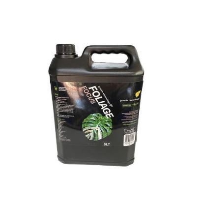 Picture of copy of GT Foliage Focus 1L | For Herbs, Palms &amp; Ferns
