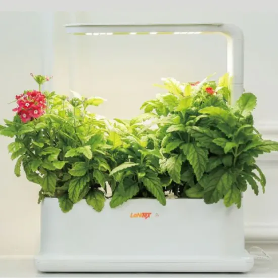 Picture of Hydroponic Desktop Grow Box - Smart Hydroponic System