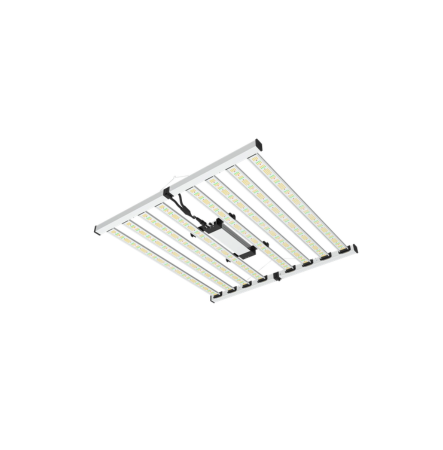 Picture for category Mammoth LED